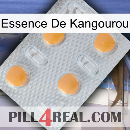 Kangaroo Essence 24
